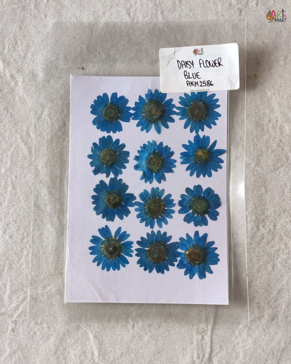 BLUE DAISY FLOWER