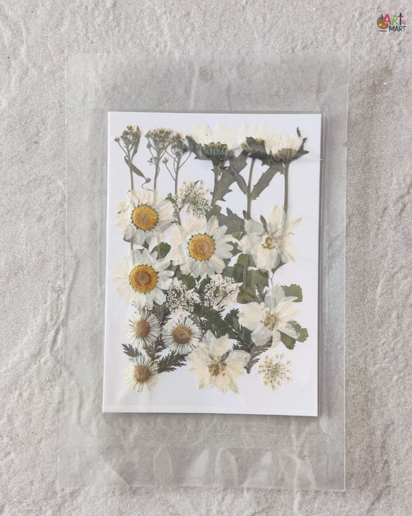 PRESSED FLOWER SHEET - D-15