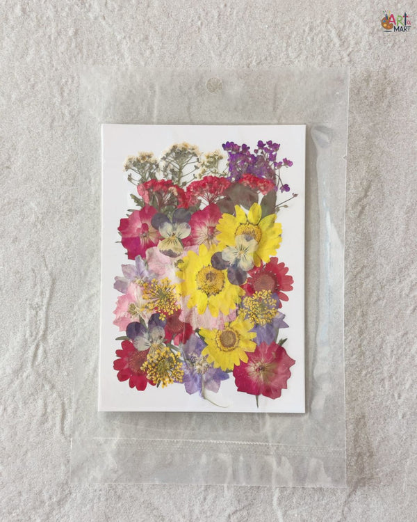 PRESSED FLOWER SHEET - D-17