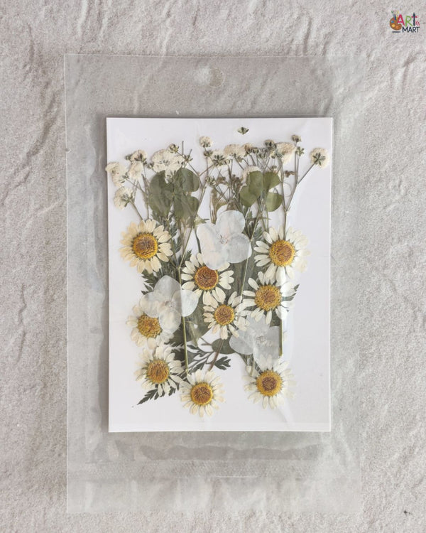 PRESSED FLOWER SHEET - D-21