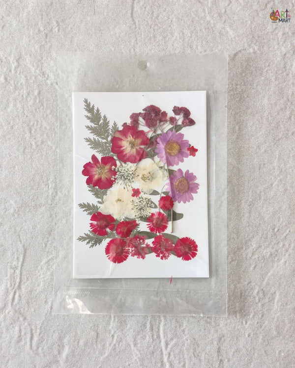 PRESSED FLOWER SHEET - D-24