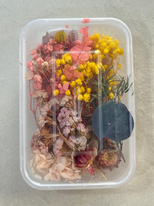 DRY FLOWER BOX - H - ART KA MART