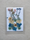 PRESSED FLOWER SHEET - D-02