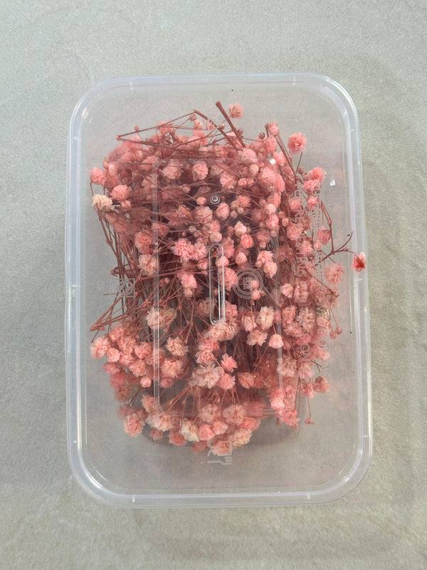 GYPSY DRY FLOWER BOX - B - ART KA MART