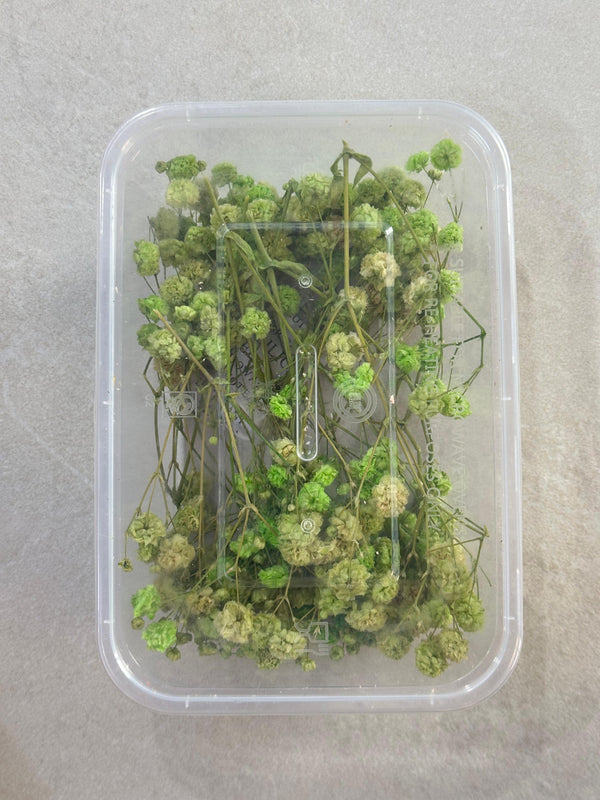 GYPSY DRY FLOWER BOX - C - ART KA MART