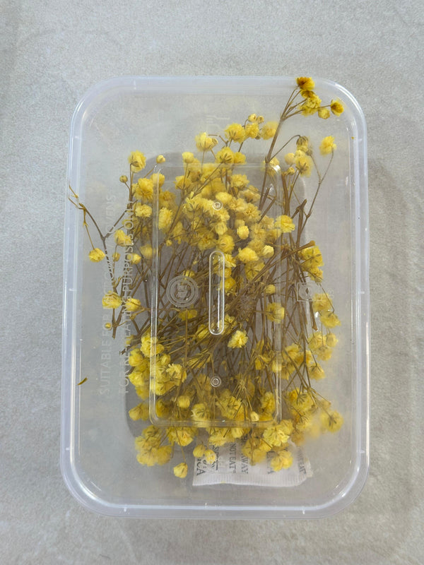 GYPSY DRY FLOWER BOX - D - ART KA MART