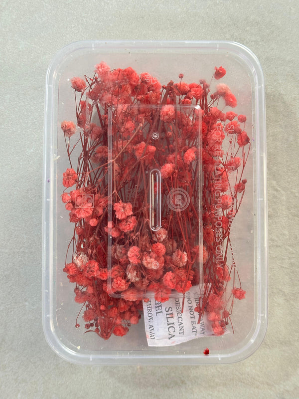 GYPSY DRY FLOWER BOX - E - ART KA MART