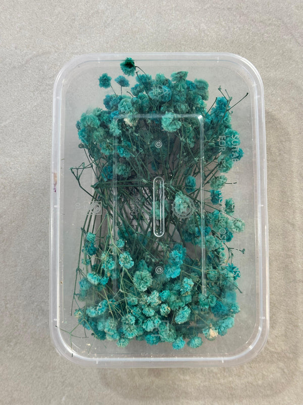 GYPSY DRY FLOWER BOX - F - ART KA MART