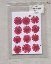 RED DAISY FLOWER