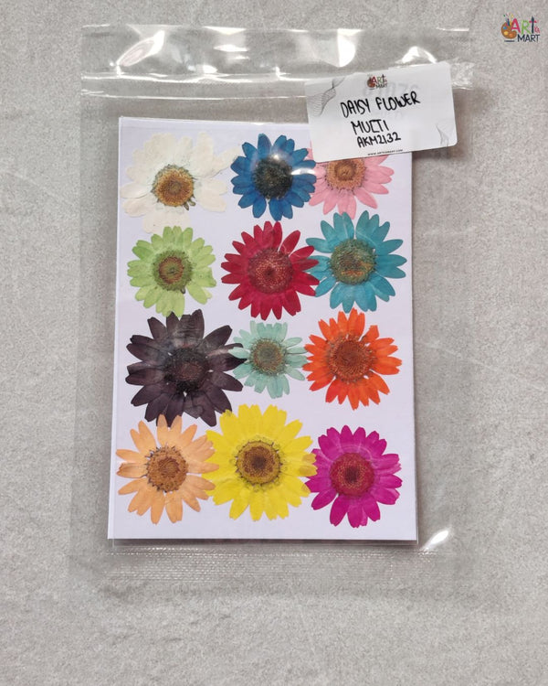 MULTI DAISY FLOWER
