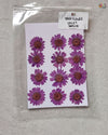 VIOLET DAISY FLOWER