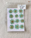 SEA GREEN DASIY FLOWER
