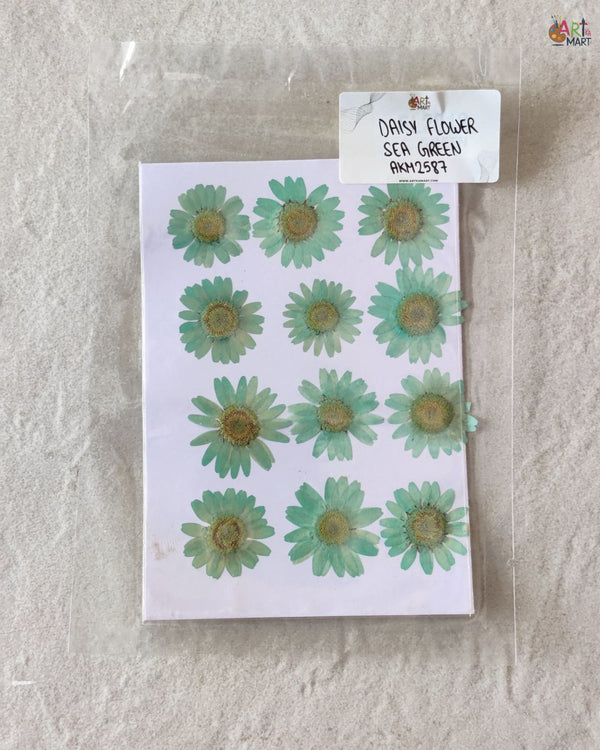 SEA GREEN DASIY FLOWER