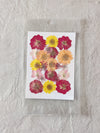 PRESSED FLOWER SHEET - D-20