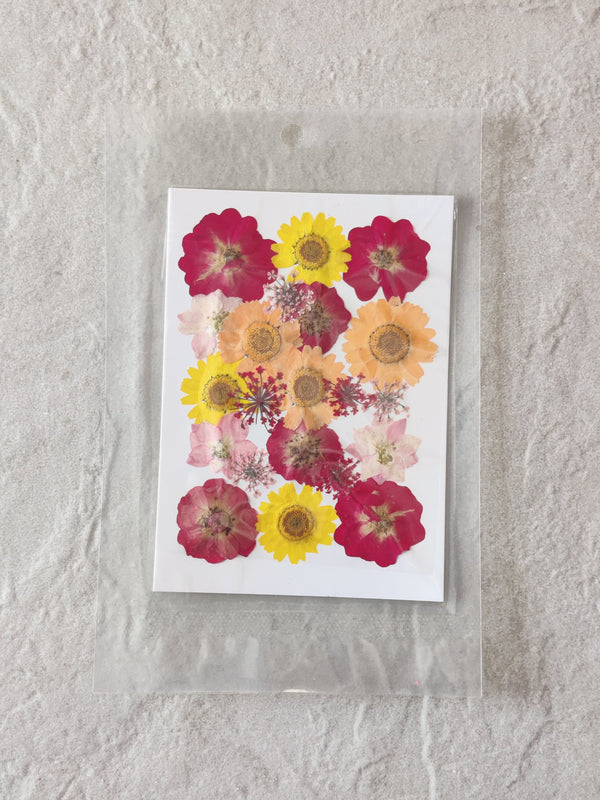 PRESSED FLOWER SHEET - D-20