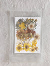 PRESSED FLOWER SHEET - D-25