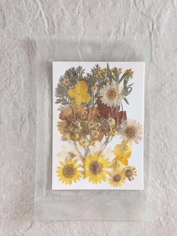 PRESSED FLOWER SHEET - D-25