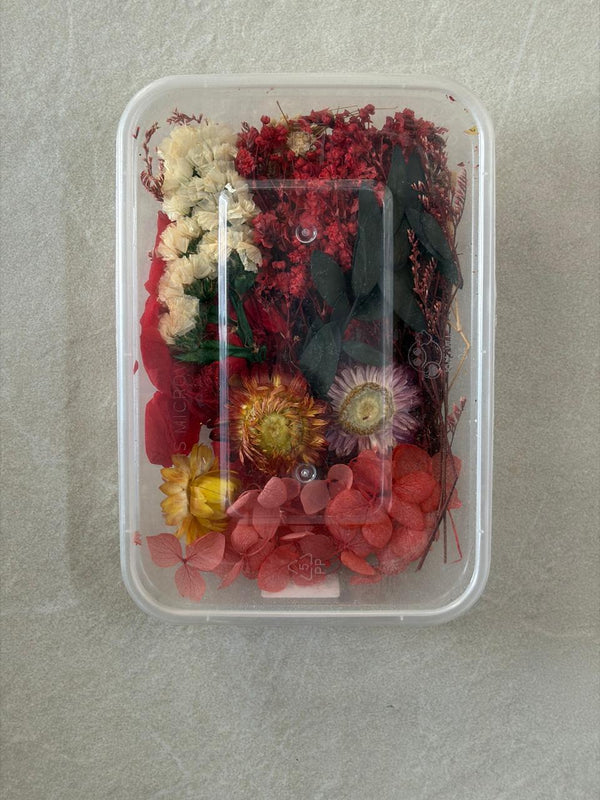 DRY FLOWER BOX (D)