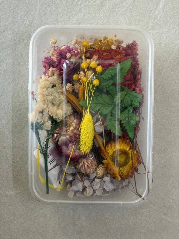DRY FLOWER BOX (H)