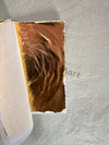 FOIL SHEET (PACK OF 10 SHEET)