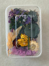 DRY FLOWER BOX (B)