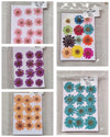 DAISY FLOWER SHEET