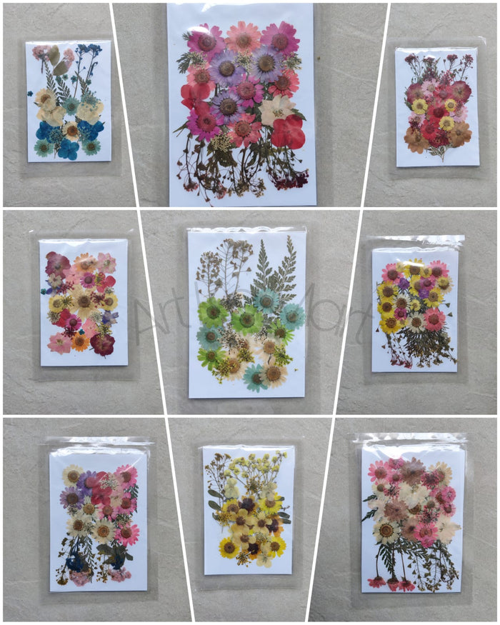 PRESSED FLOWER SHEET