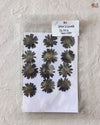 BLACK DAISY FLOWER