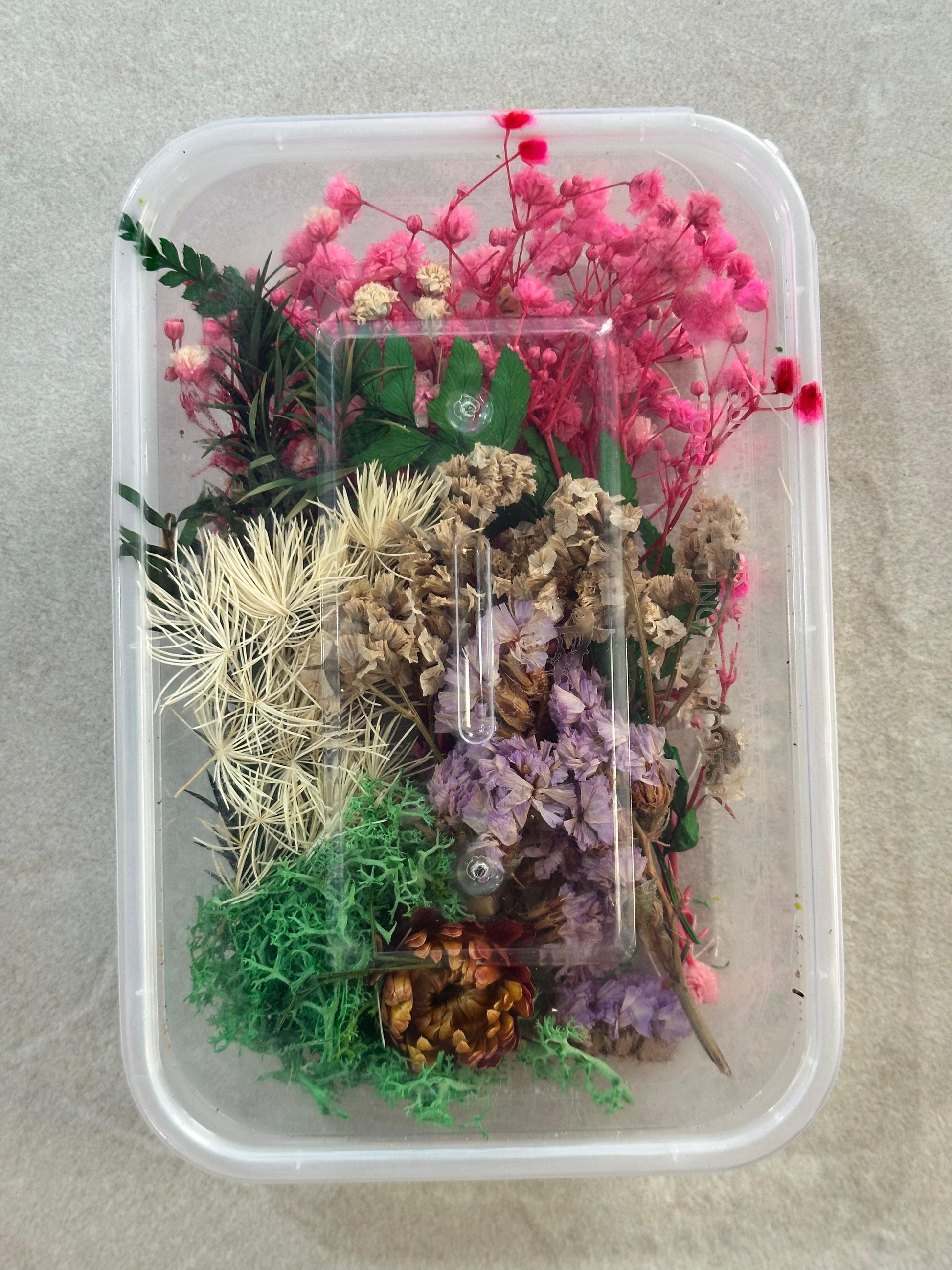 DRY FLOWER BOX - A - ART KA MART