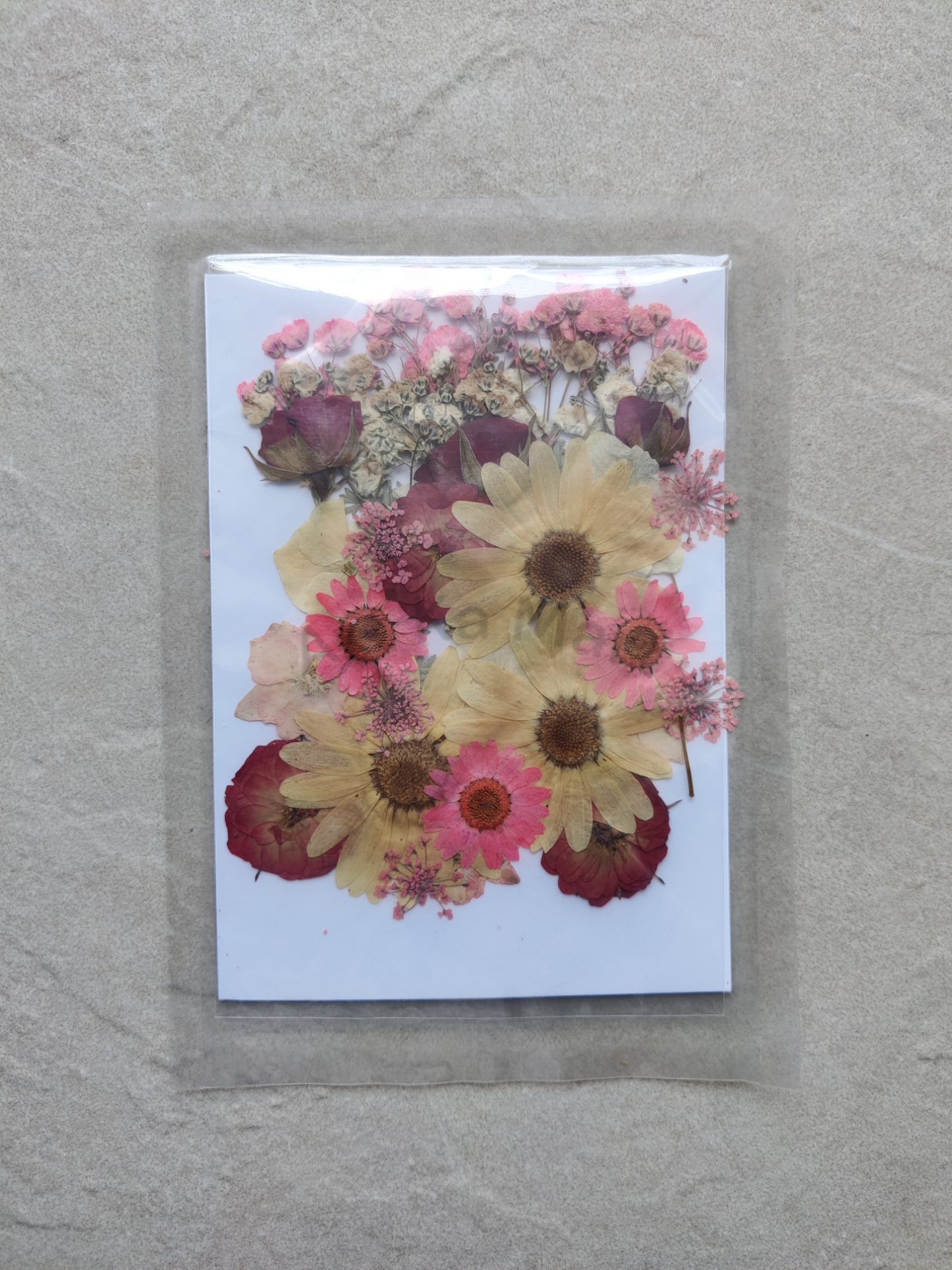 PRESSED FLOWER SHEET - D-01