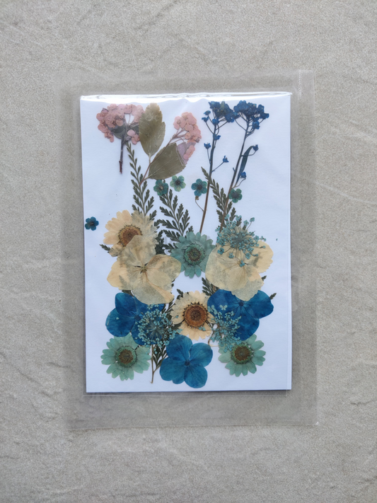 PRESSED FLOWER SHEET - D-02