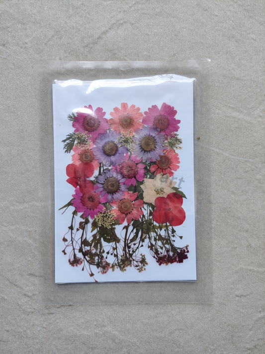 PRESSED FLOWER SHEET - D-03