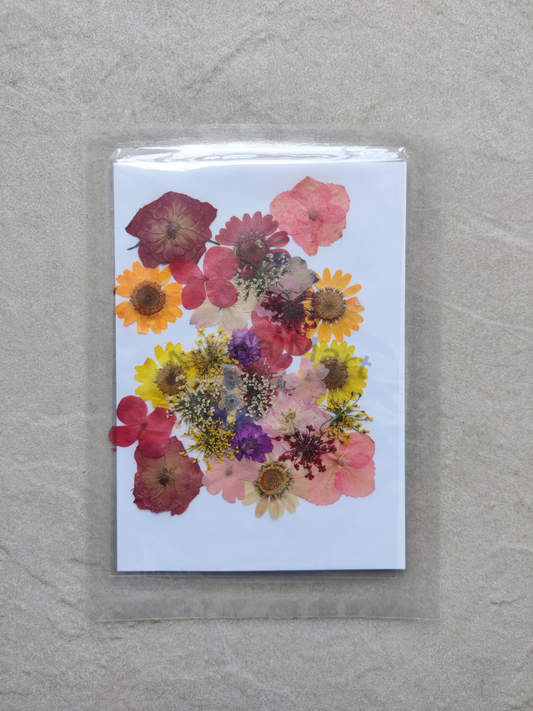 PRESSED FLOWER SHEET - D-04