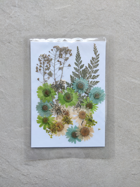 PRESSED FLOWER SHEET - D-06