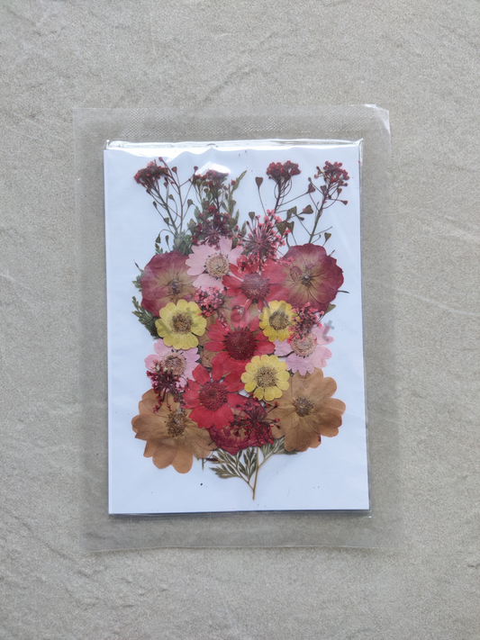 PRESSED FLOWER SHEET - D-07