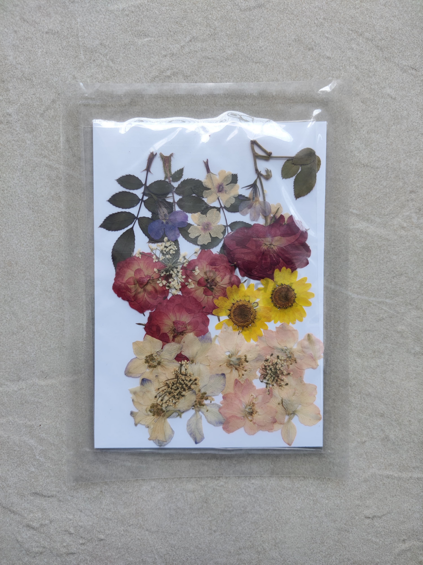 PRESSED FLOWER SHEET - D-10