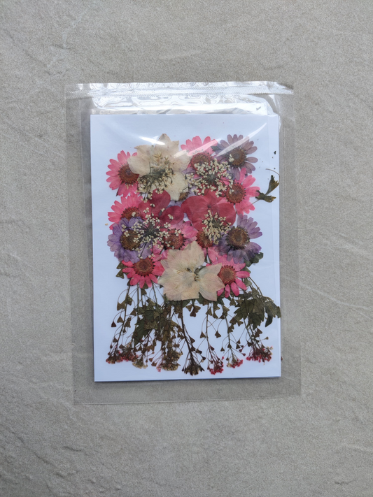 PRESSED FLOWER SHEET - D-13