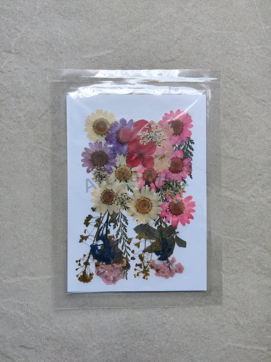 PRESSED FLOWER SHEET - D-14